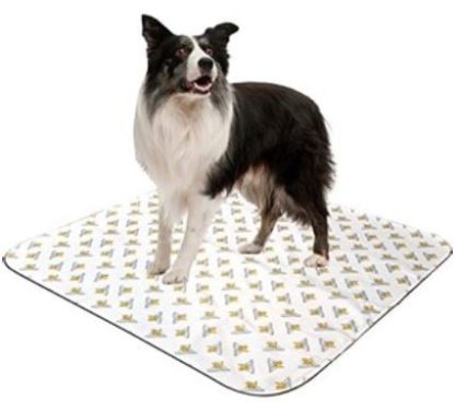 Serviette d'entrainement réutilisable pour les besoins pour chien, Pooch Pad (paquet de 2)